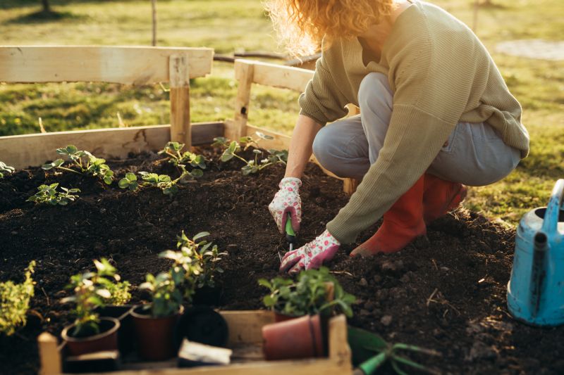 Cost of Garden Tilling — Cost of Garden Tilling