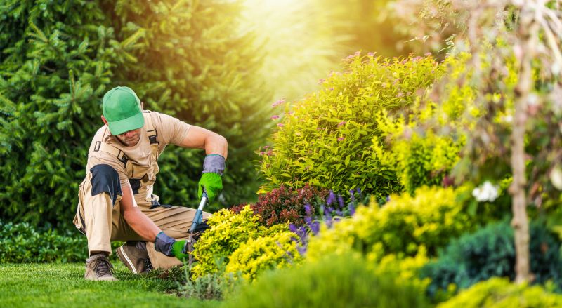Products For Garden Tillings in use