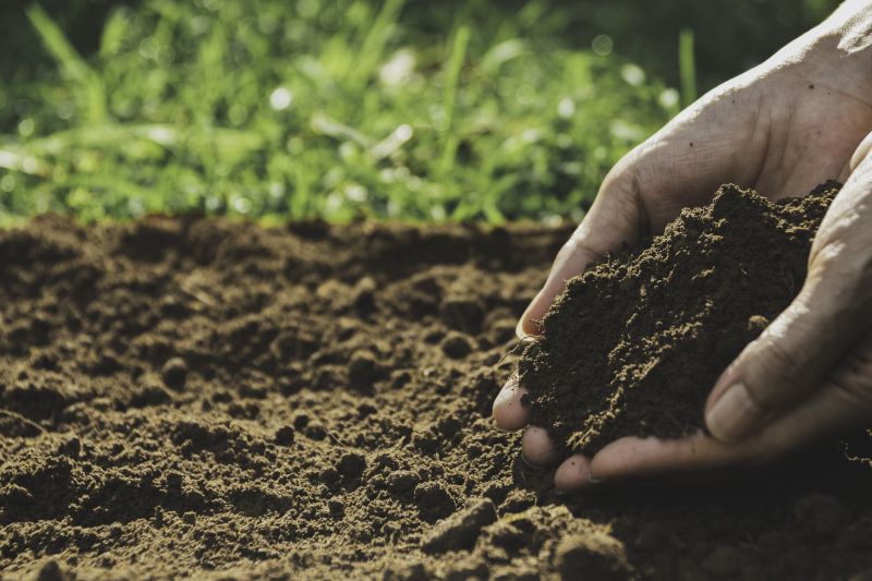 Soil Health Improvements