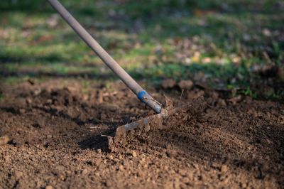 Maximize the Health of Your Garden!